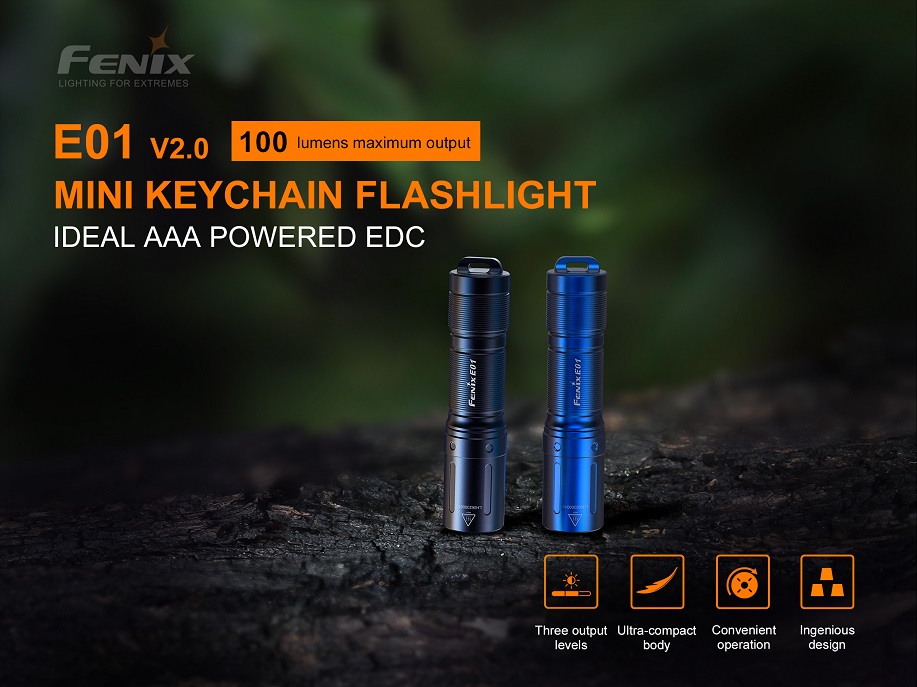 Fenix E01 - Mini Lampe de Poche Porte-clés, Étanche IP68, 100 Lumens