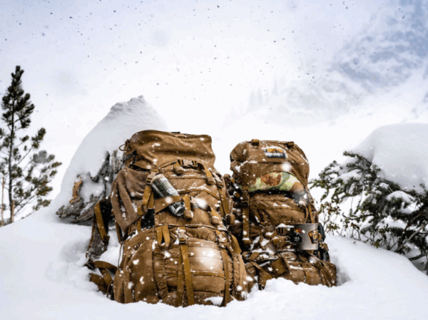 V69 Destroyer Pack Eberlestock – Image 7